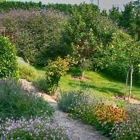 Panorama Apartman